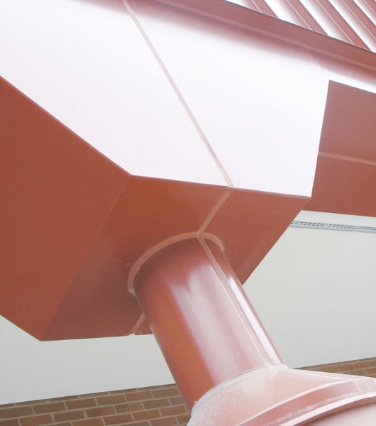 Mystery Photo. Photo By: Kristyn Sonnenberg | Photo Editor