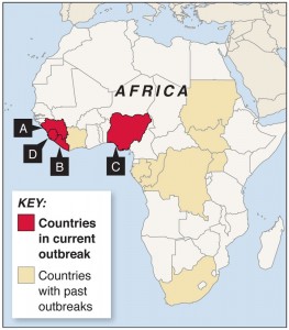 The World Health Organization called a press conference in which Dr. Isabelle Nuttall stated that “air  travel, even from Ebola-affected countries is low-risk for Ebola transmission.