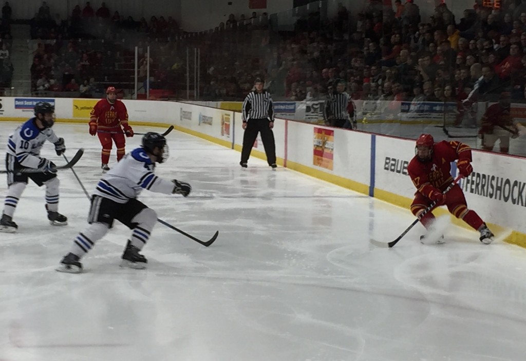 The Bulldogs , who currently stand at fourth place in the WCHA, will head to Bemidji, Minn. this weekend to take on the Beavers in another conference matchup.