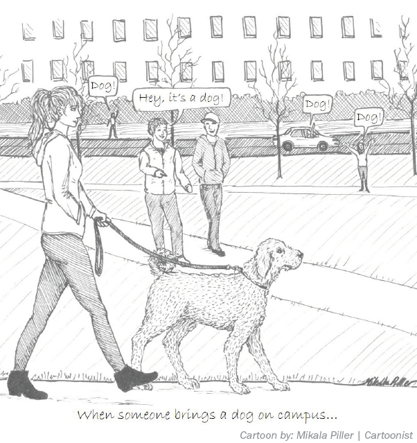 screen-shot-2016-11-16-at-7-58-19-pm