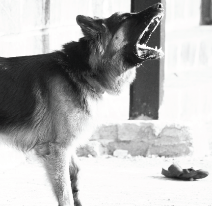 screen-shot-2016-11-30-at-8-52-00-am