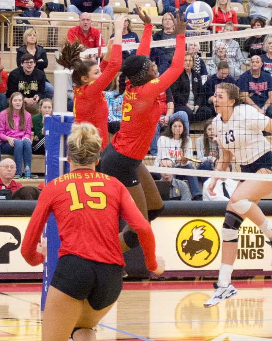 After a 4-5 start to the season, the Bulldogs caught fire and finished with a 30-6 overall record and another GLIAC Championship.